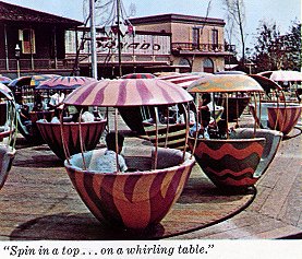 Spin in a
        top...on a whirling table